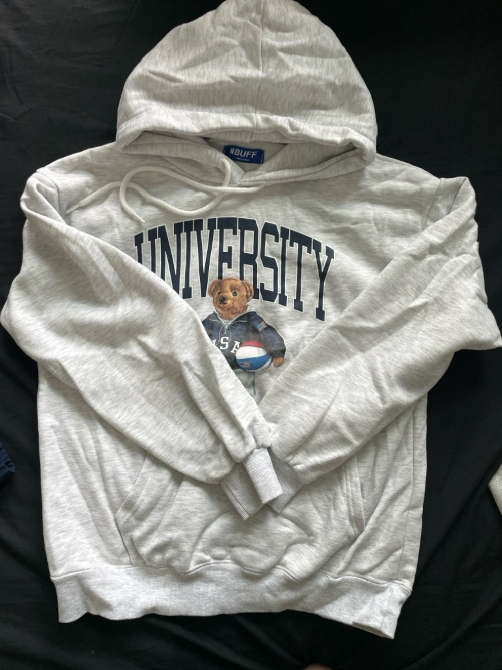 Buff Light Gray University Bear Graphic Hooded Sweatshirt